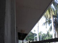 Bohol-1273.jpg
