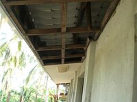 Bohol-1274.jpg