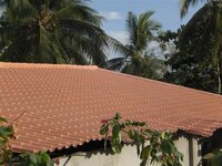 Bohol-1277.jpg