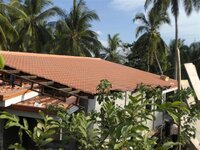 Bohol-1278.jpg