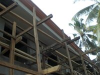 Bohol-1282.jpg