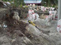 Bohol-1312.jpg
