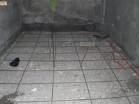 Bohol-1358.jpg