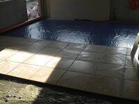 Bohol-1364.jpg