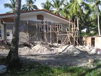 Bohol-1556.jpg Bohol-1556.jpg