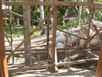 Bohol-1864.jpg Bohol-1864.jpg