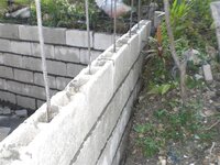 Bohol-1867.jpg Bohol-1867.jpg