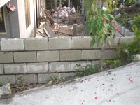 Bohol-1868.jpg Bohol-1868.jpg