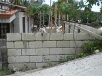 Bohol-1925.jpg Bohol-1925.jpg