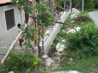 Bohol-1926.jpg Bohol-1926.jpg