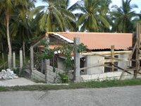 Bohol-1991.jpg Bohol-1991.jpg