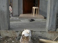 Bohol-2012.jpg Bohol-2012.jpg