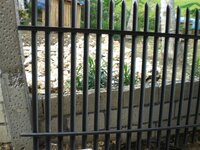 Bohol-2019.jpg Bohol-2019.jpg