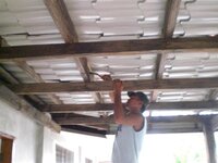 Bohol-2053.jpg Bohol-2053.jpg