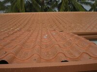 Bohol-2063.jpg Bohol-2063.jpg