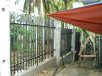 Bohol-2066.jpg Bohol-2066.jpg