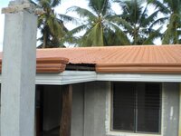 Bohol-2087.jpg Bohol-2087.jpg