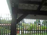 Bohol-2112.jpg Bohol-2112.jpg