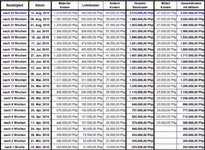 weekly-expenses15082010.jpg