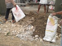 Bohol-2159.jpg Bohol-2159.jpg