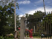 Bohol-2174.jpg Bohol-2174.jpg