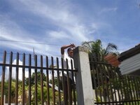 Bohol-2170.jpg Bohol-2170.jpg