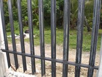 Bohol-2183.jpg Bohol-2183.jpg