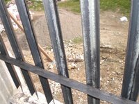 Bohol-2184.jpg Bohol-2184.jpg