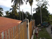 Bohol-2188.jpg Bohol-2188.jpg