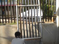 Bohol-2191.jpg Bohol-2191.jpg