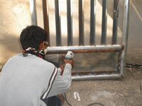 Bohol-2192.jpg Bohol-2192.jpg