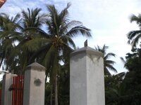 Bohol-2200.jpg Bohol-2200.jpg