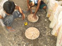 Bohol-2616.jpg