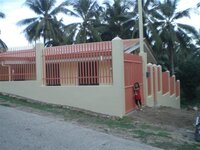Bohol-2669.jpg