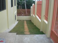 Bohol-2671.jpg