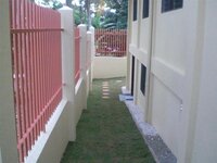 Bohol-2674.jpg