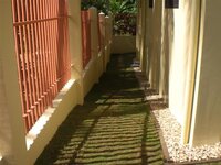 Bohol-2689.jpg