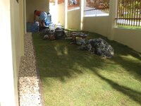 Bohol-2690.jpg
