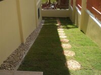 Bohol-2694.jpg