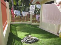 Bohol-2804.jpg