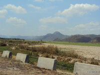 DSC01381.JPG