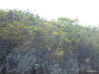 DSC01682.JPG
