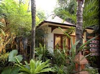 chaweng_resort2.jpg chaweng_resort2.jpg