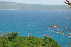 5yi934.jpg 5yi934.jpg