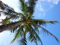 6qeffc.jpg 6qeffc.jpg