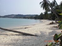 09_02_reise_koh_samui_049.jpg