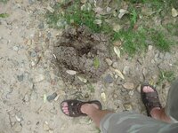 p1080752_fileminimizer.jpg