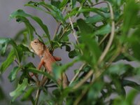 img_0335.jpg