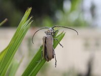 img_0285.jpg