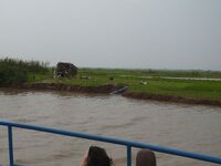 k-p1040866.jpg